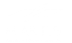 Logo gordo sem site branco